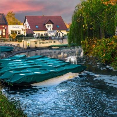 麻将胡了2的网站